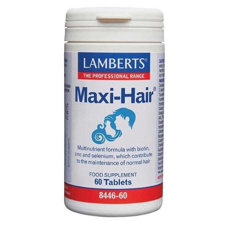 Lamberts Maxi Hair One A Day Formula 60 ταμπλέτες