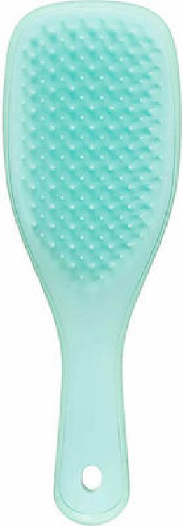 Tangle Teezer The Wet Detangler Mini Sea Green Βούρτσα Μαλλιών για Ξεμπέρδεμα