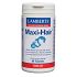 Lamberts Maxi Hair One A Day Formula 60 ταμπλέτες